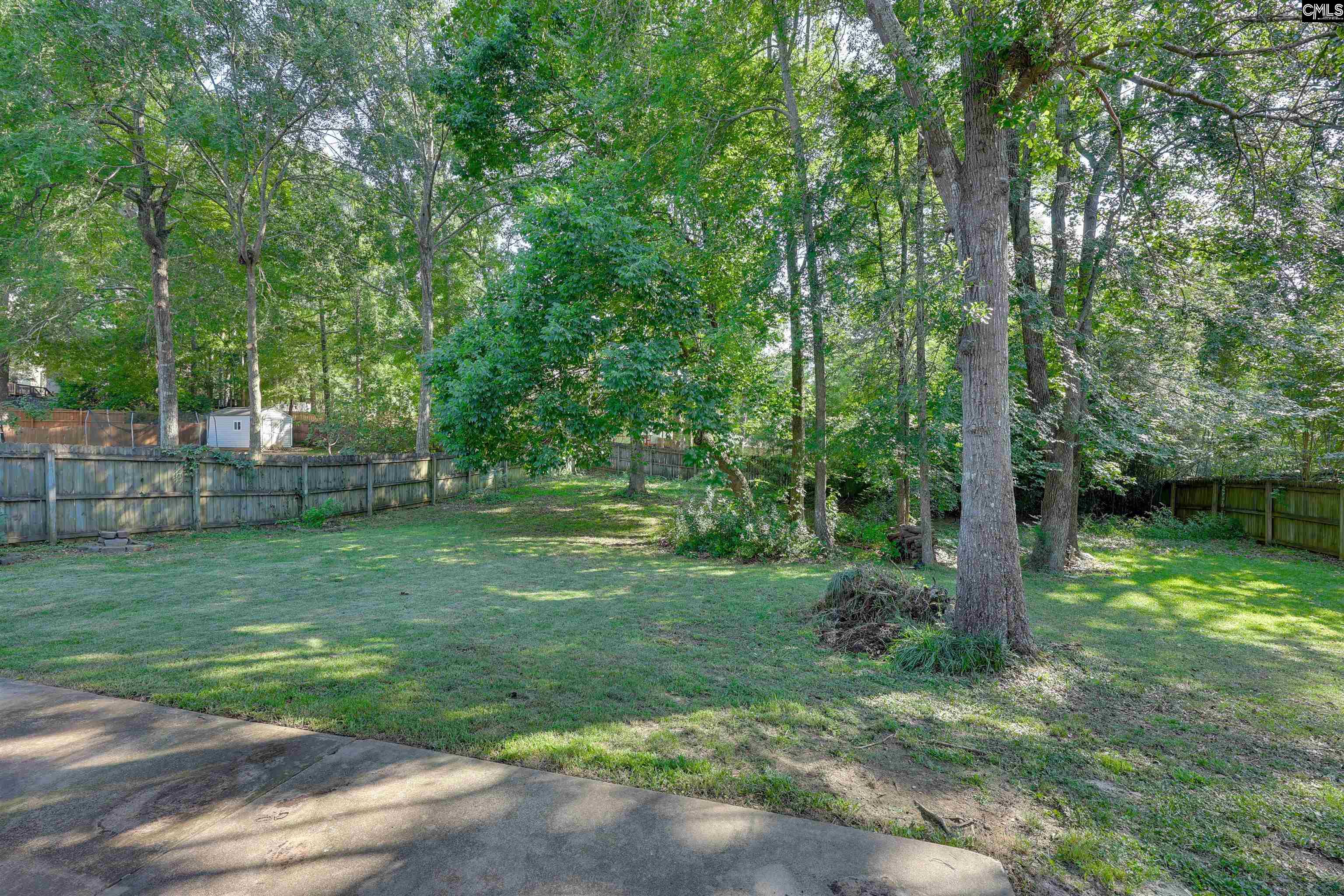 206 Coopers Hawk Circle Irmo, SC 29063 - Photo 28 of 32