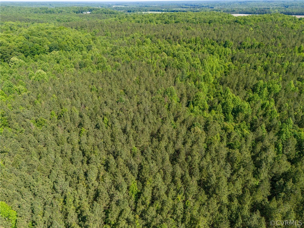 0 King William Road West Point, VA 23181 - Photo 11 of 14 View of bird's eye view