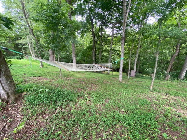 4558 Abednego Road Greenbrier, TN 37073 - Photo 9 of 20 Gallery Image 9