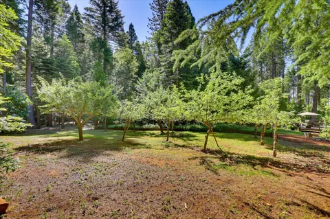 $998,000 | 19217 Scotts Flat Road, Nevada City, CA 95959