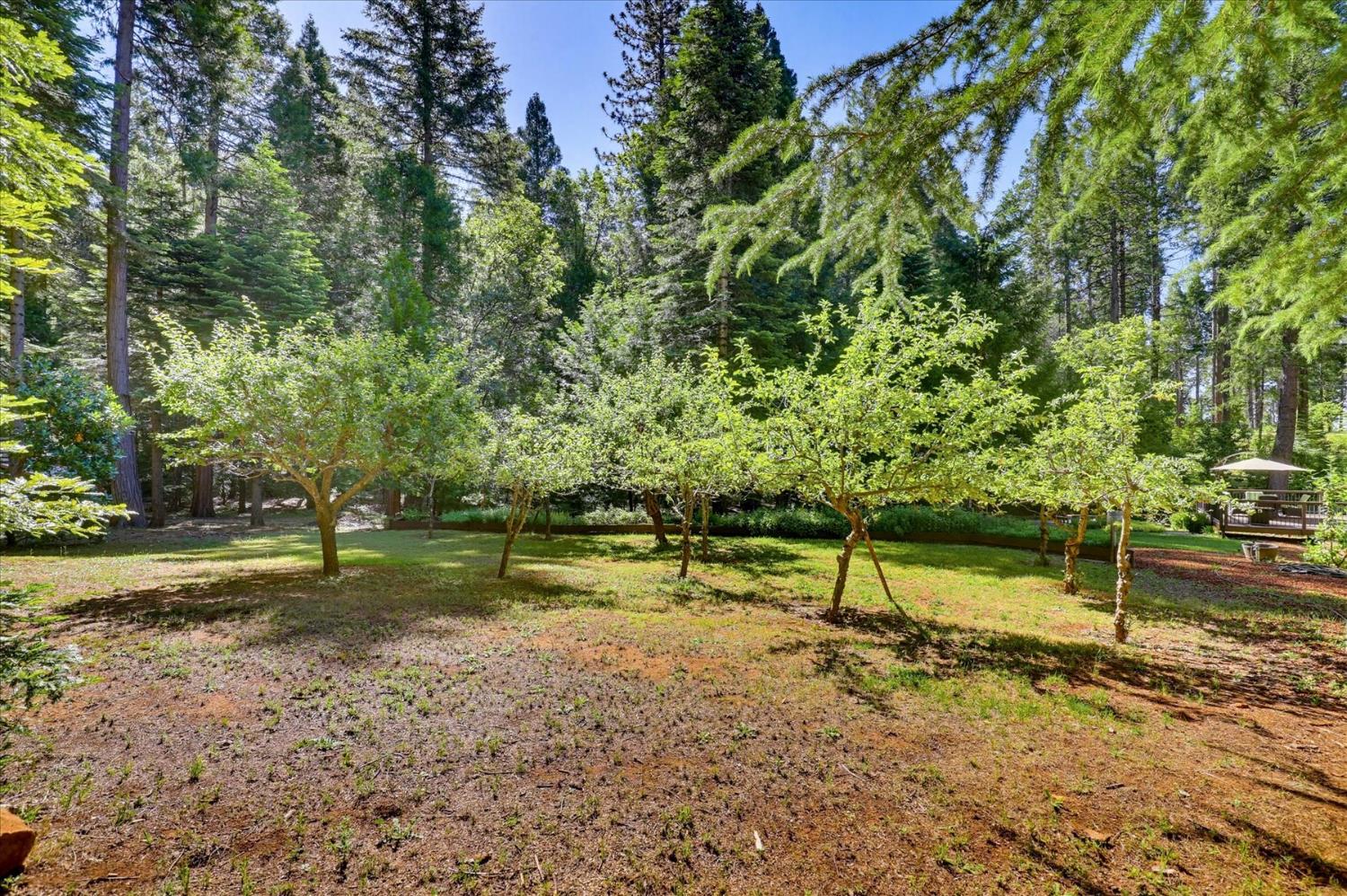 19217 Scotts Flat Road Nevada City, CA 95959 - Photo 86 of 89