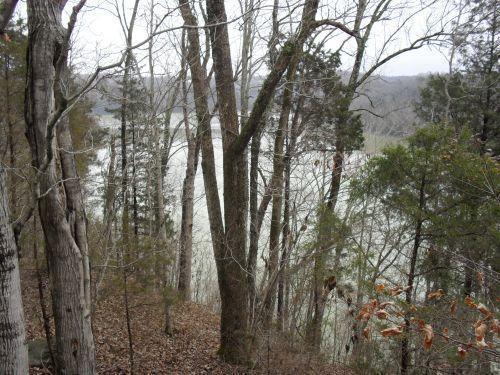 1 Acreyville Road Alpha, KY 42603 - Photo 3 of 10 image005