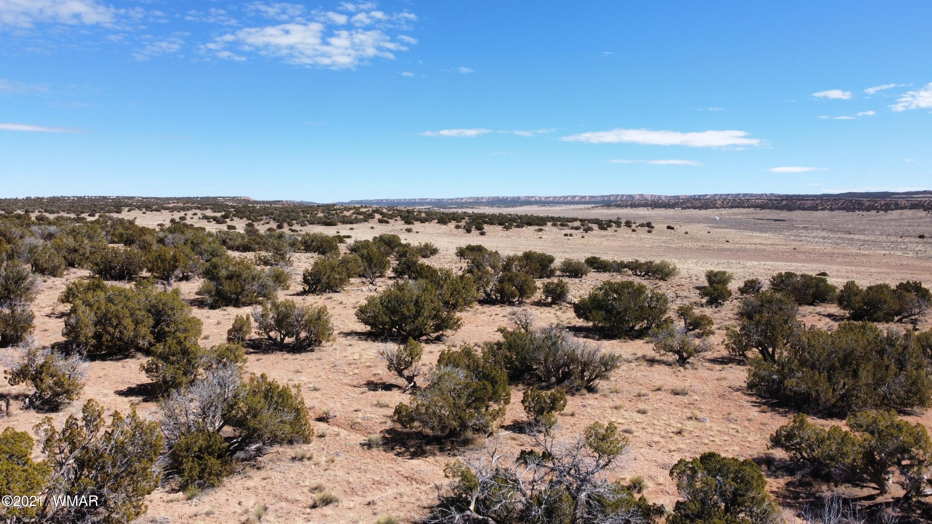 10-acres Silver Loop Road Chambers, AZ 86502 - Photo 17 of 38