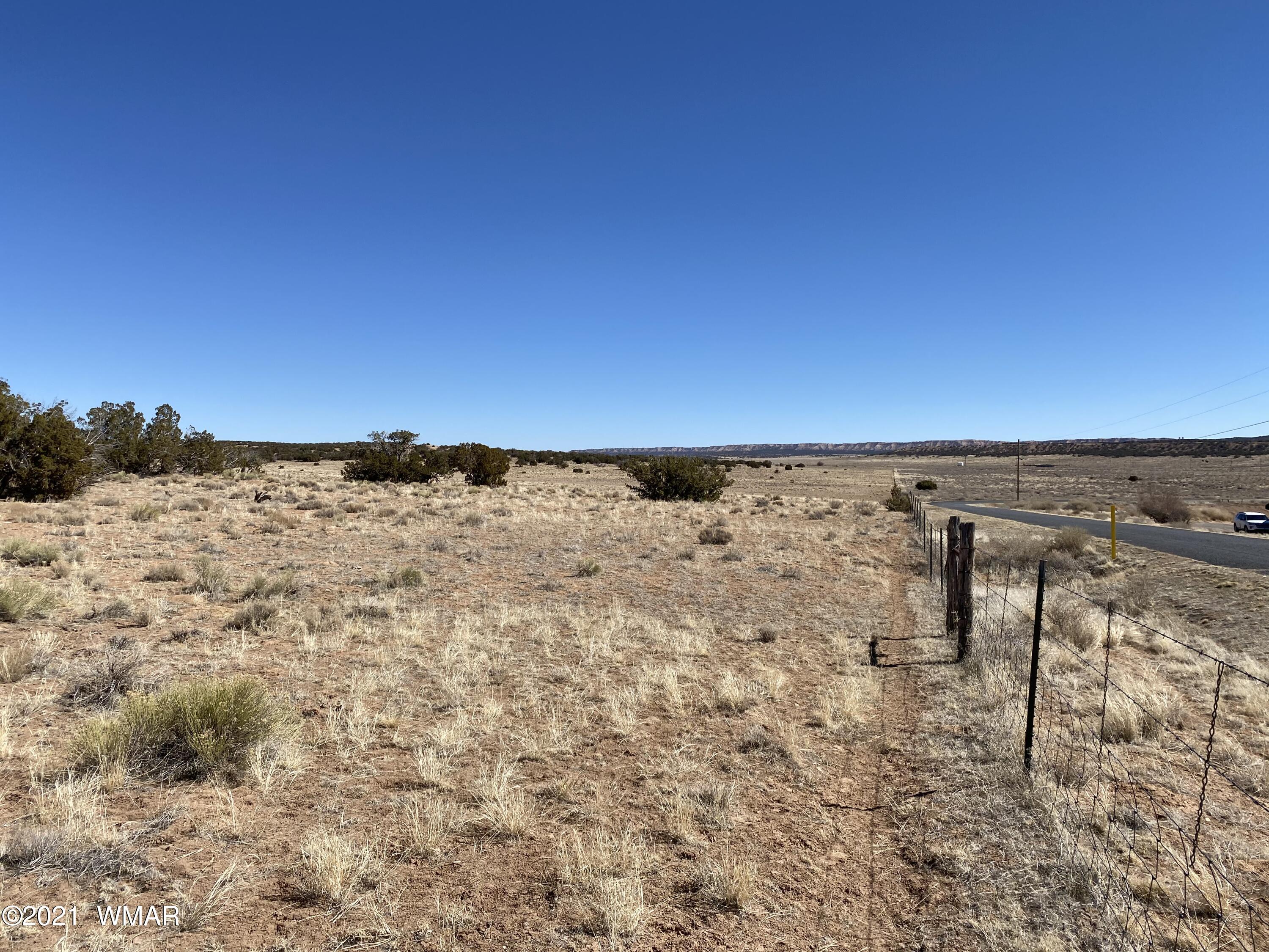10-acres Silver Loop Road Chambers, AZ 86502 - Photo 21 of 38