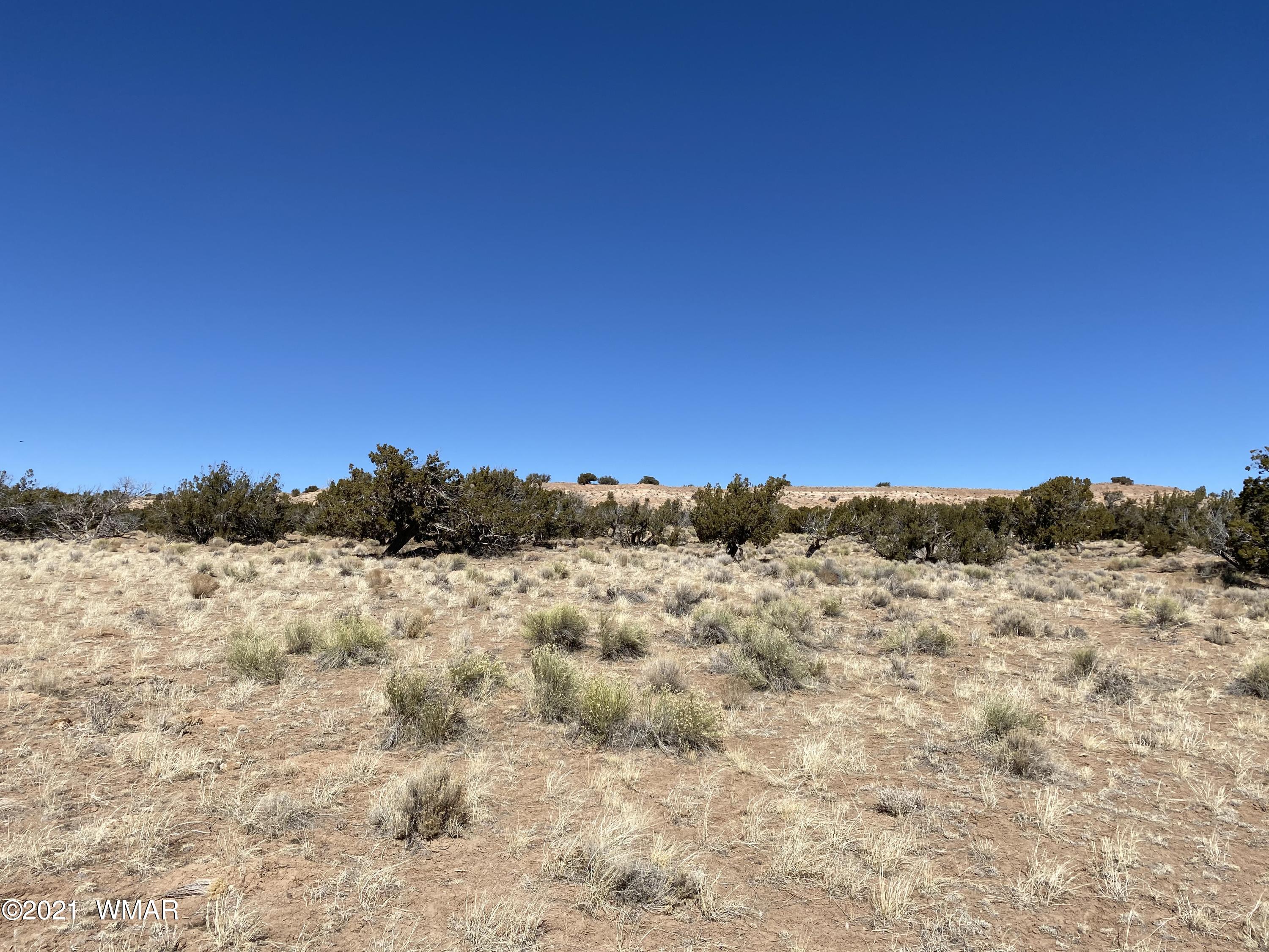 10-acres Silver Loop Road Chambers, AZ 86502 - Photo 22 of 38