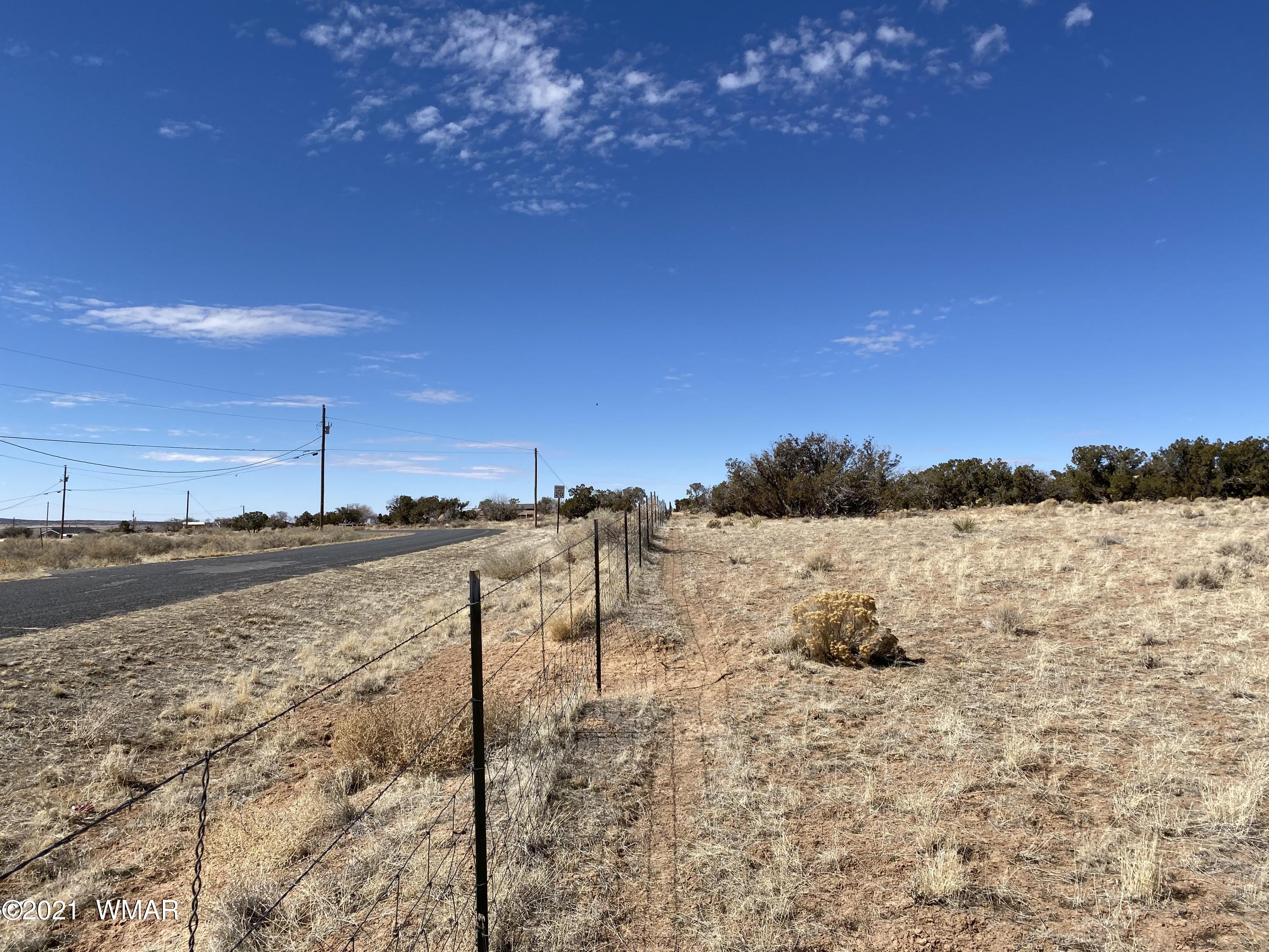 10-acres Silver Loop Road Chambers, AZ 86502 - Photo 23 of 38