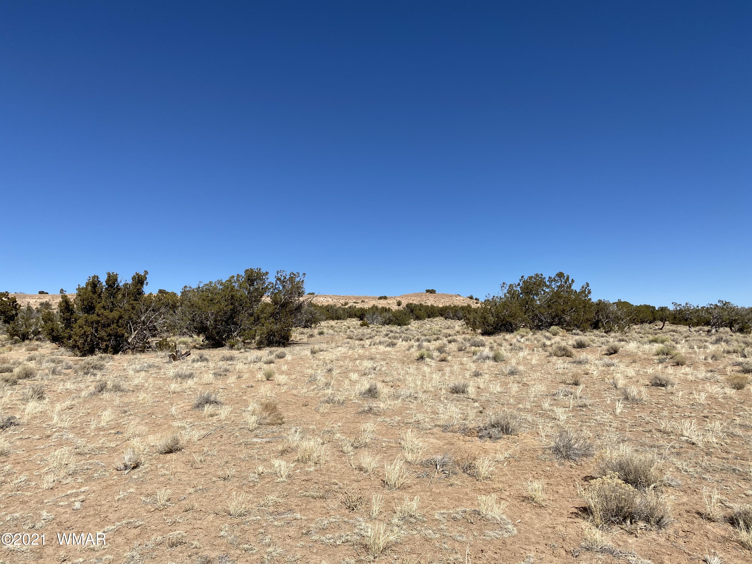 10-acres Silver Loop Road Chambers, AZ 86502 - Photo 24 of 38