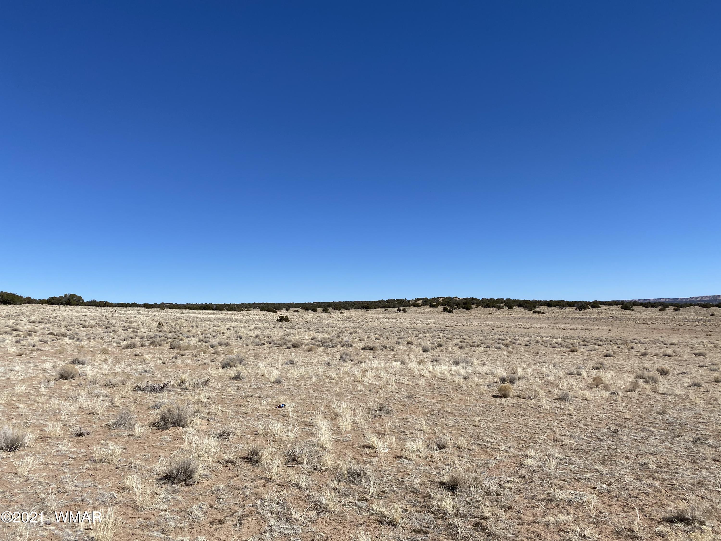 10-acres Silver Loop Road Chambers, AZ 86502 - Photo 25 of 38
