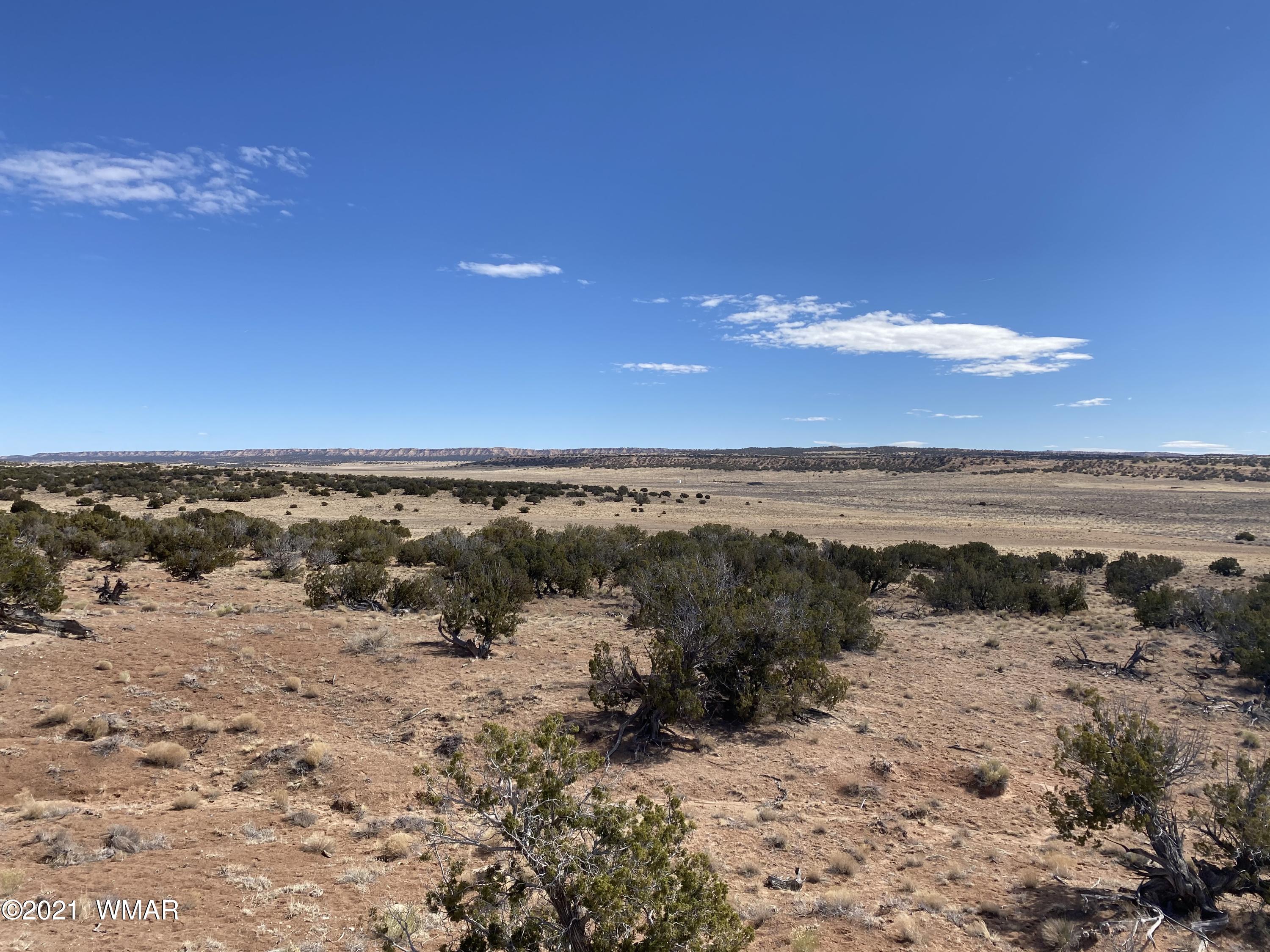 10-acres Silver Loop Road Chambers, AZ 86502 - Photo 27 of 38