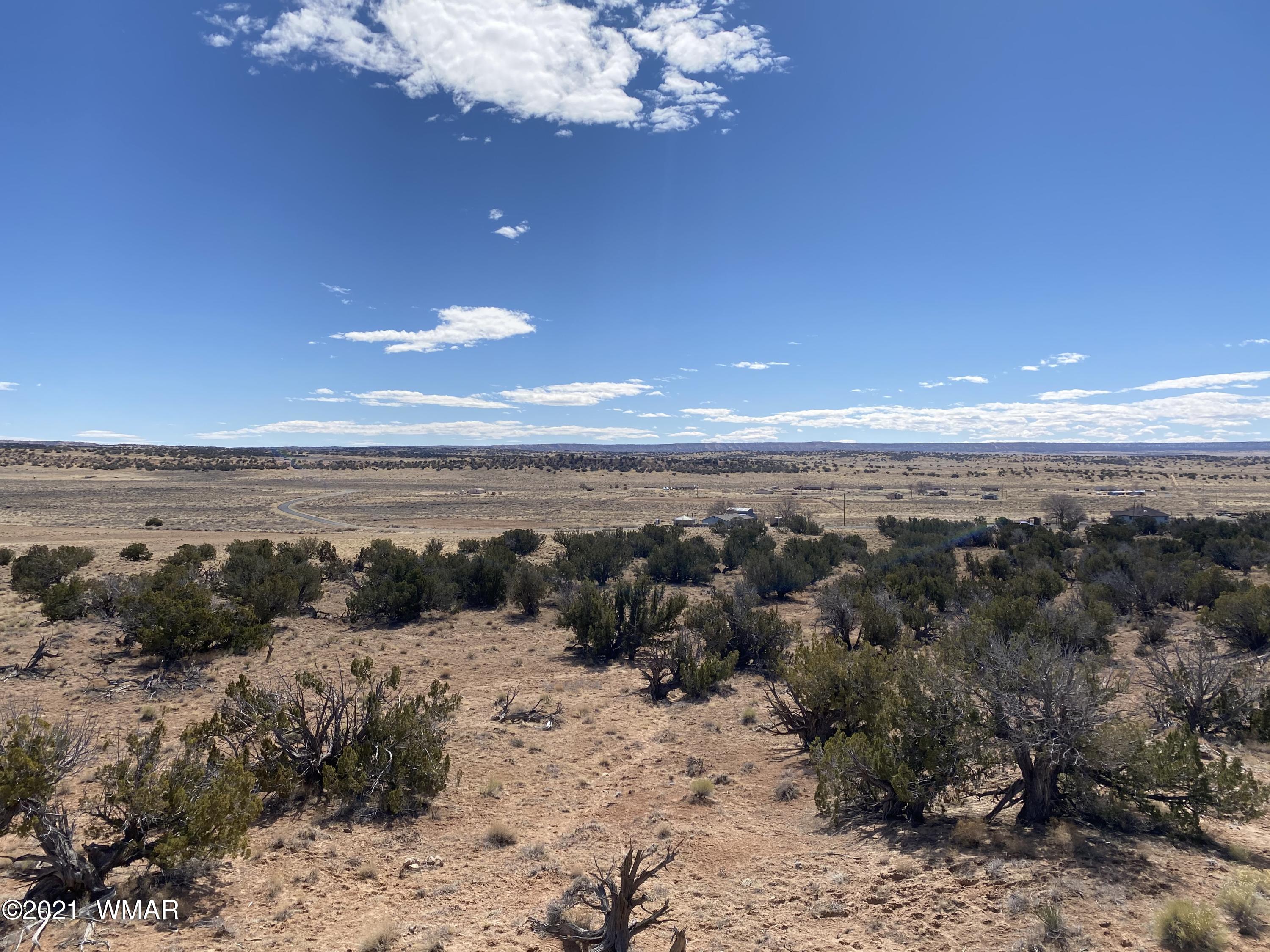 10-acres Silver Loop Road Chambers, AZ 86502 - Photo 28 of 38