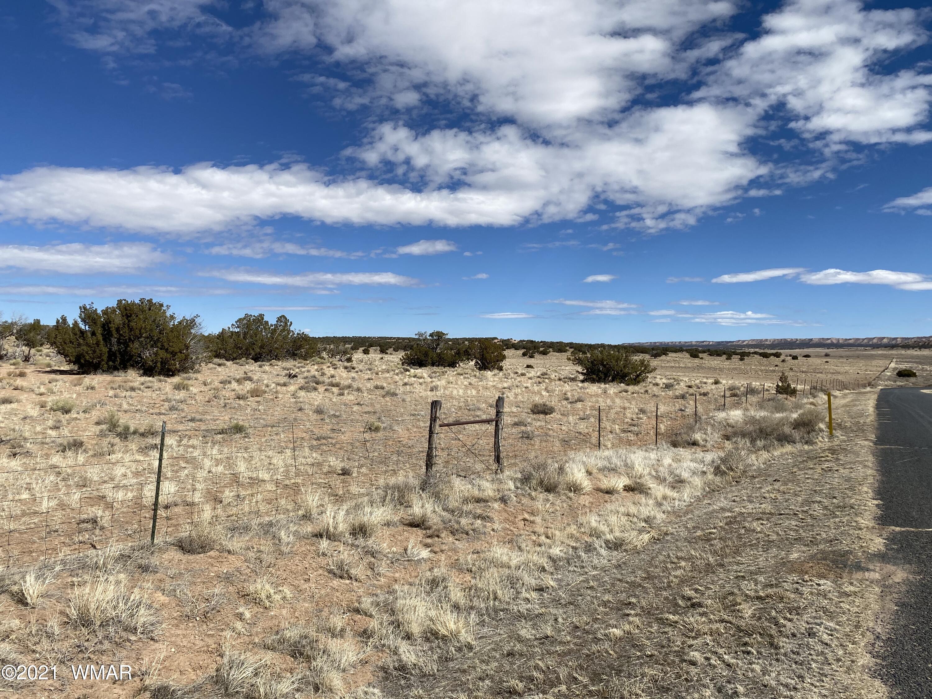 10-acres Silver Loop Road Chambers, AZ 86502 - Photo 29 of 38