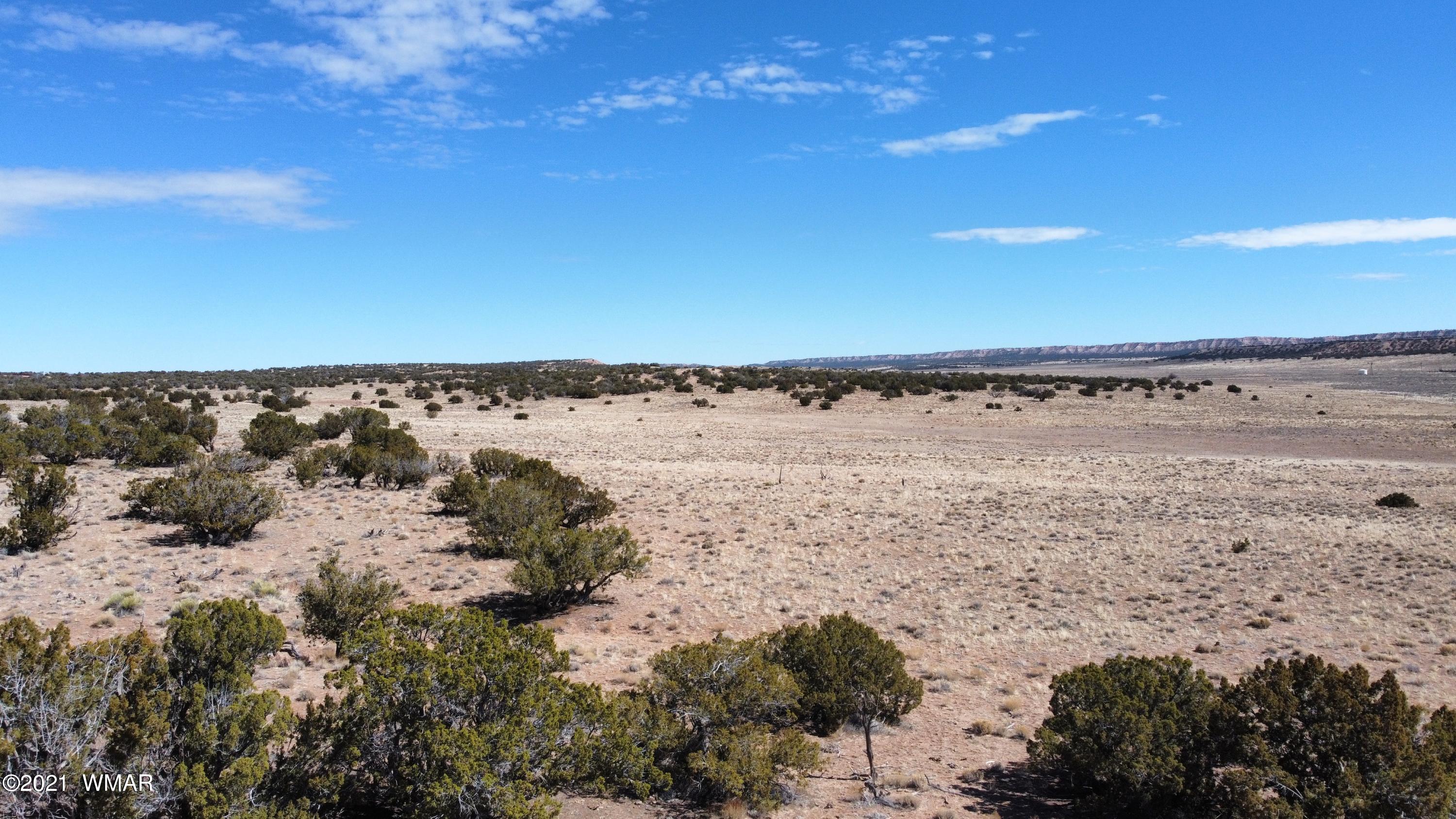 10-acres Silver Loop Road Chambers, AZ 86502 - Photo 31 of 38