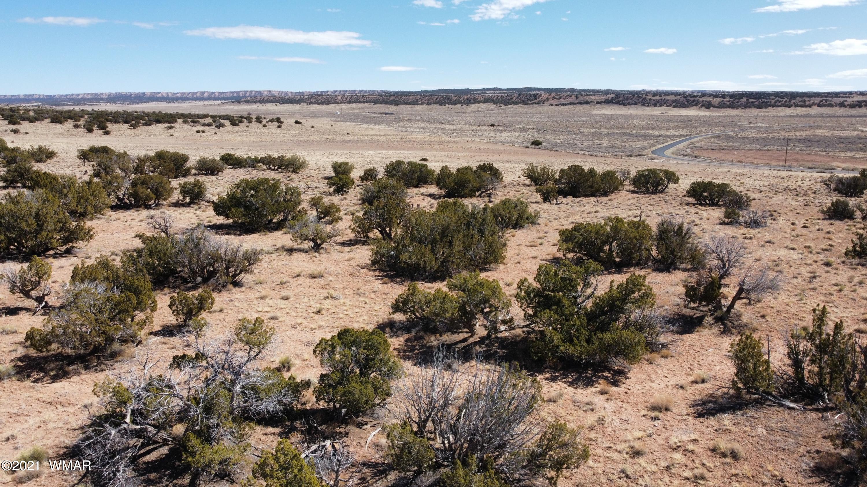 10-acres Silver Loop Road Chambers, AZ 86502 - Photo 34 of 38