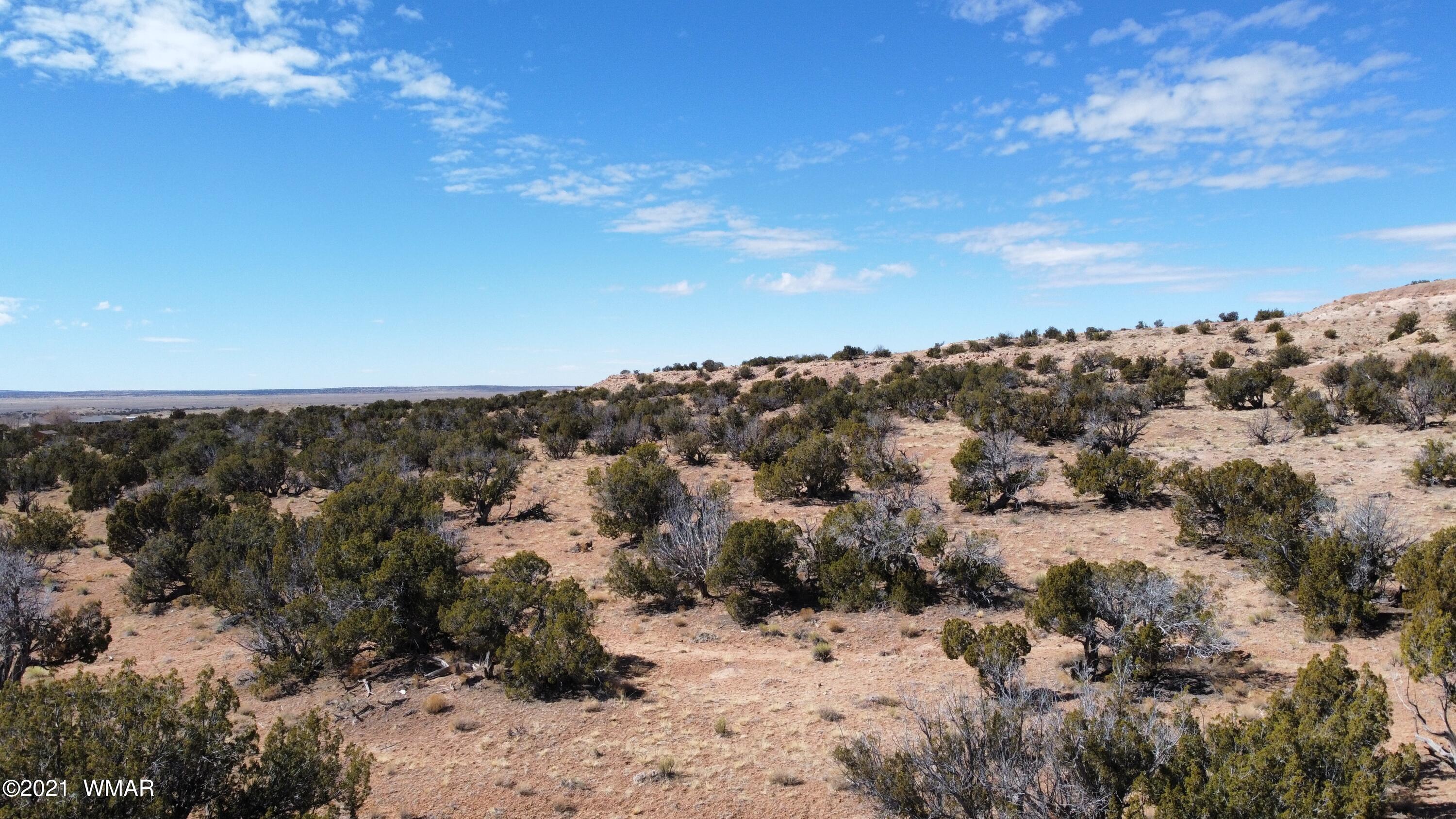 10-acres Silver Loop Road Chambers, AZ 86502 - Photo 35 of 38