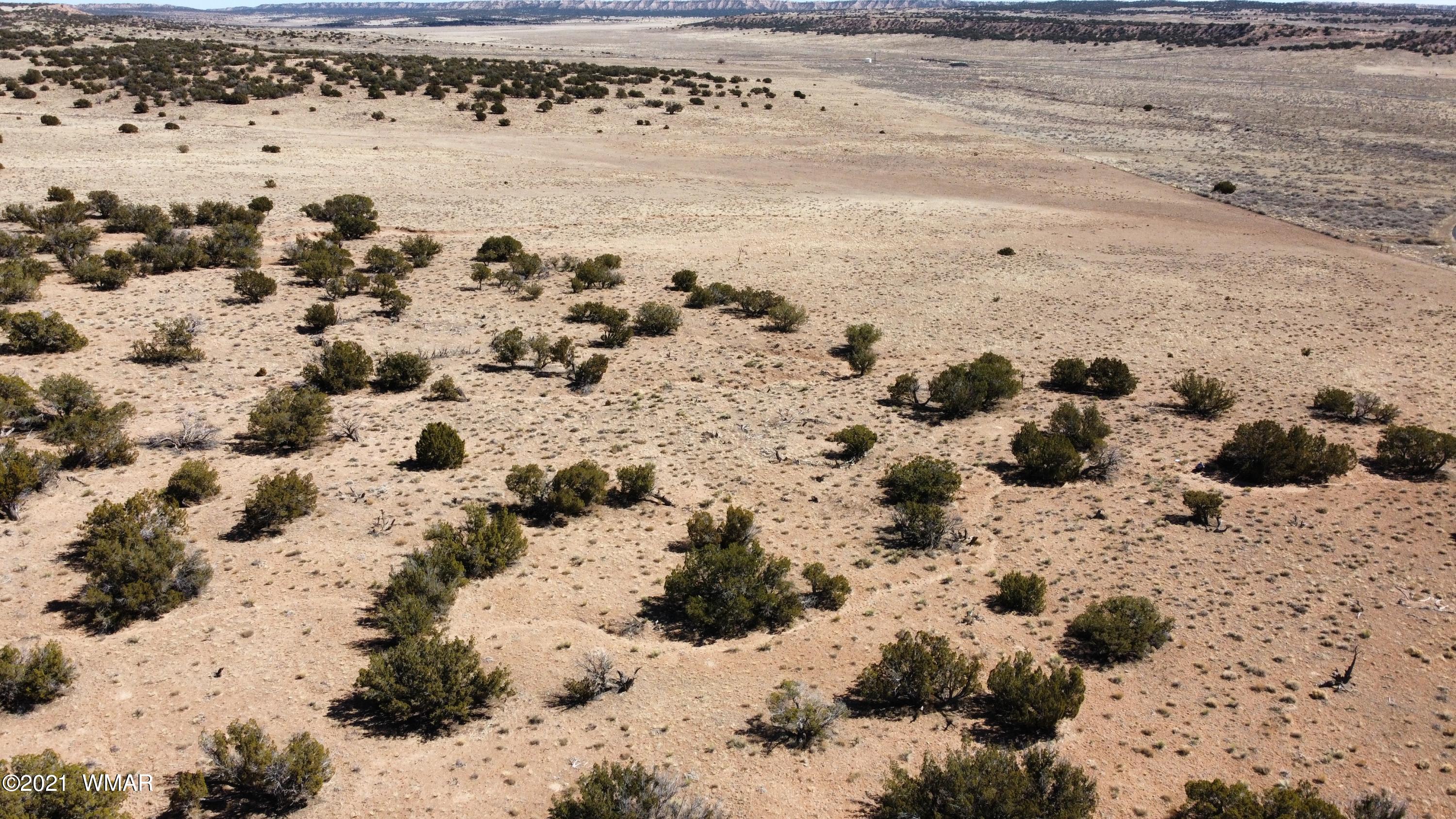 10-acres Silver Loop Road Chambers, AZ 86502 - Photo 4 of 38