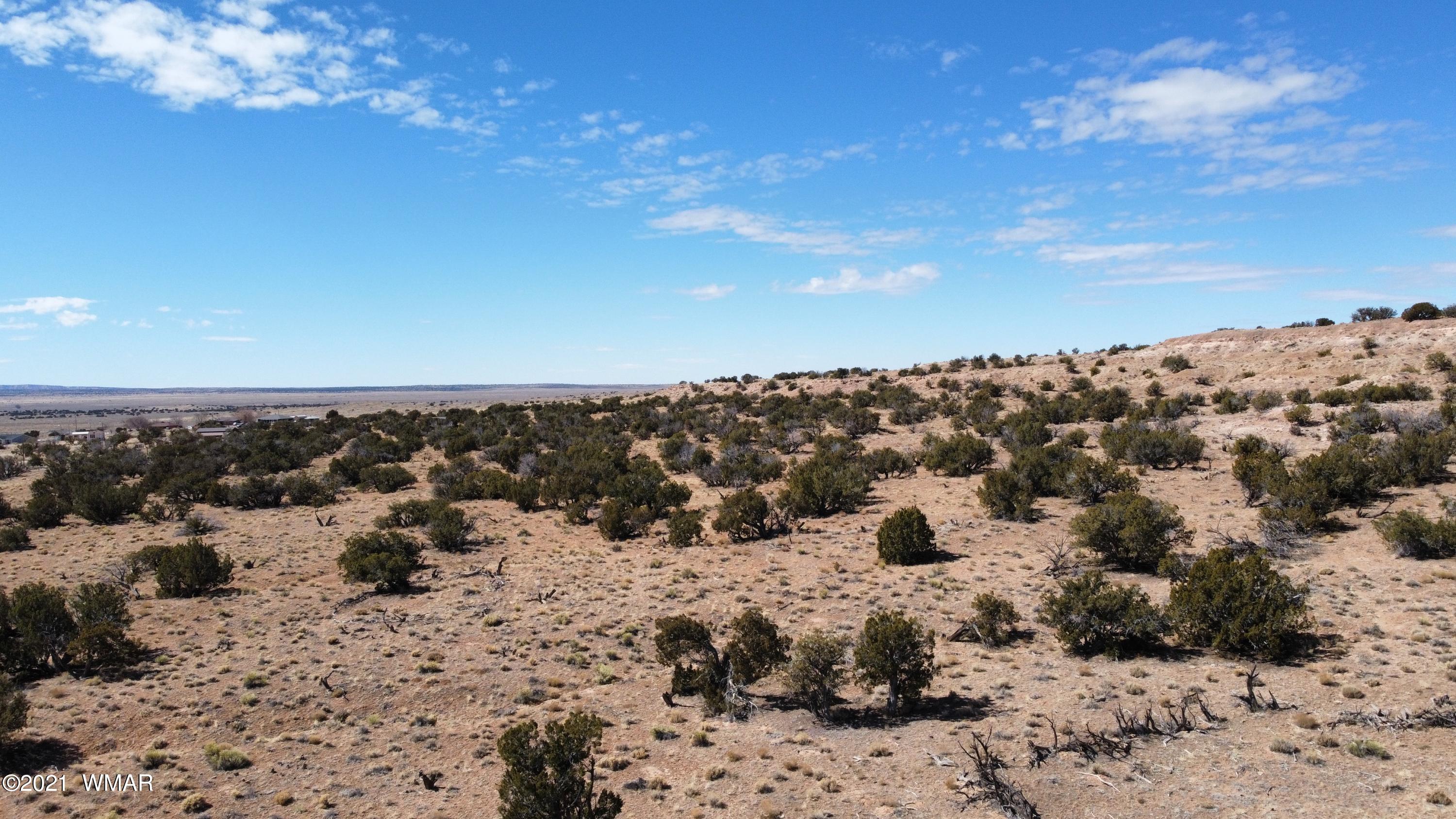 10-acres Silver Loop Road Chambers, AZ 86502 - Photo 5 of 38