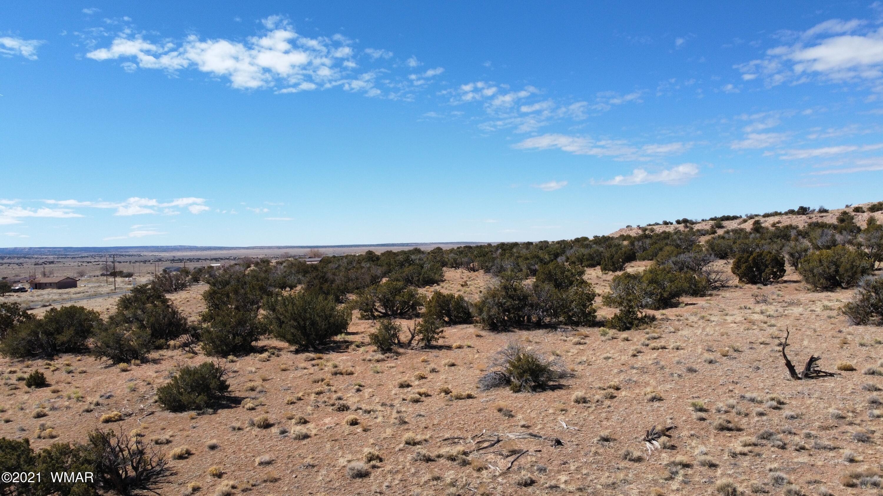 10-acres Silver Loop Road Chambers, AZ 86502 - Photo 6 of 38