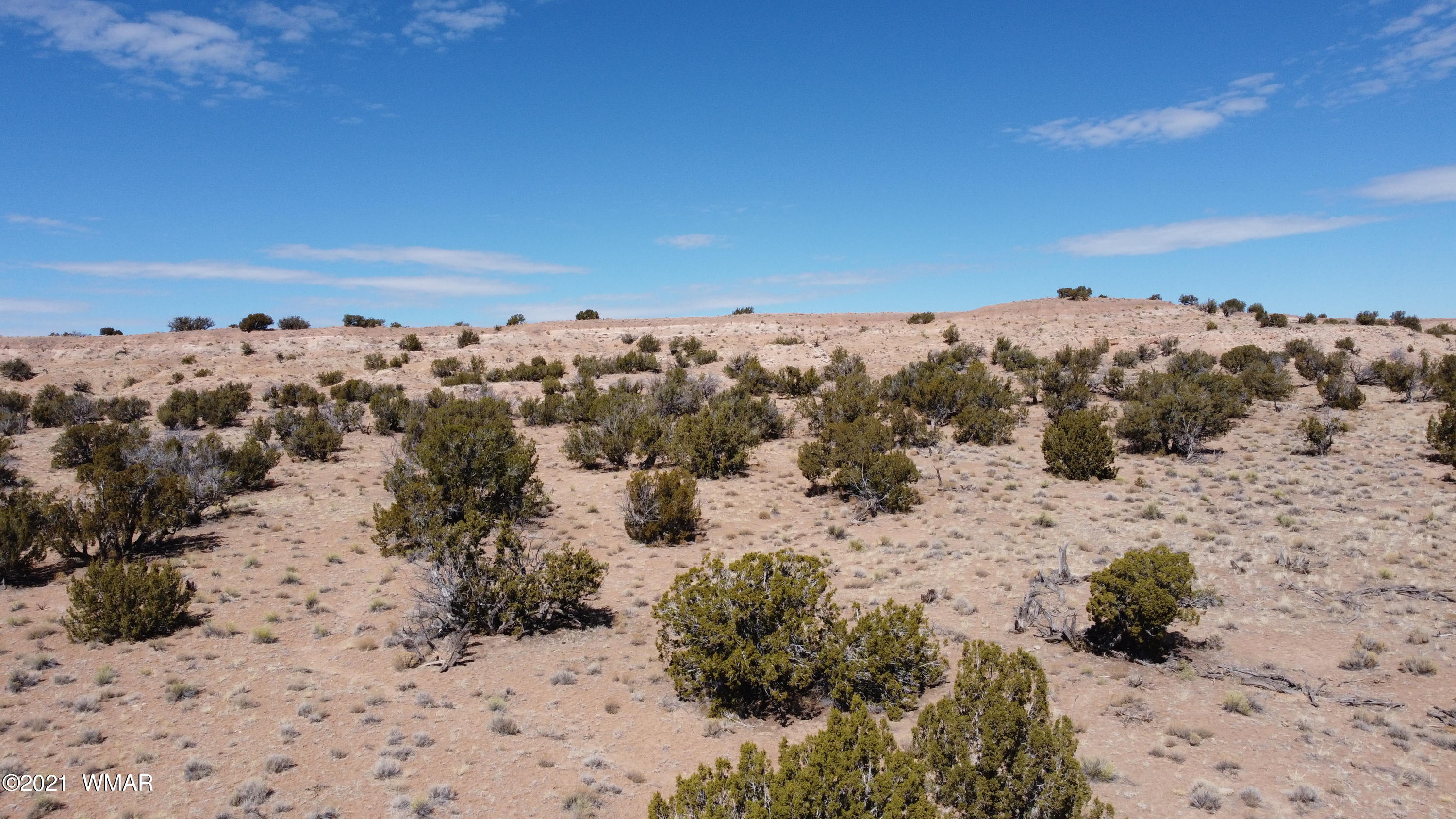 10-acres Silver Loop Road Chambers, AZ 86502 - Photo 8 of 38