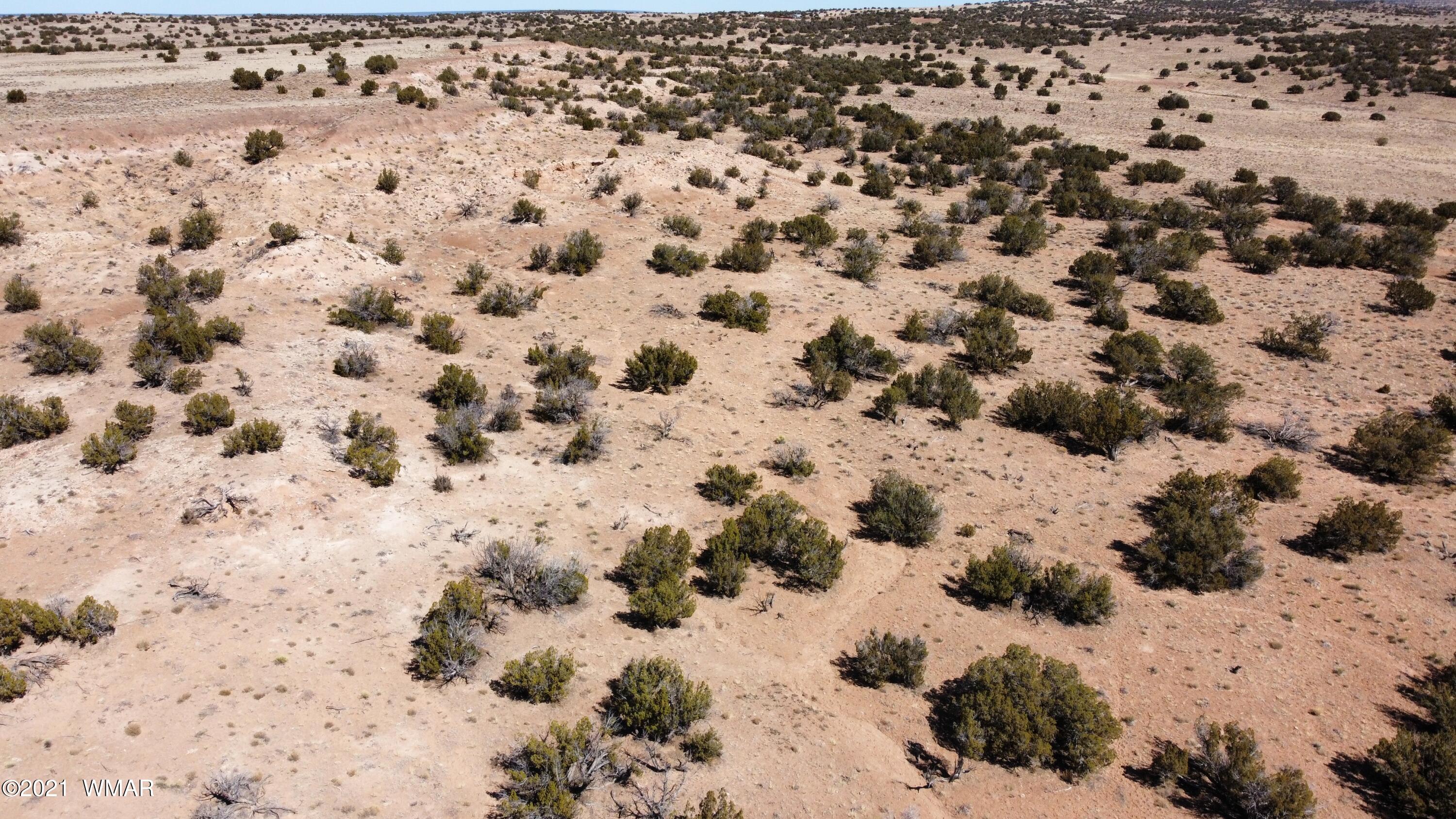 10-acres Silver Loop Road Chambers, AZ 86502 - Photo 10 of 38