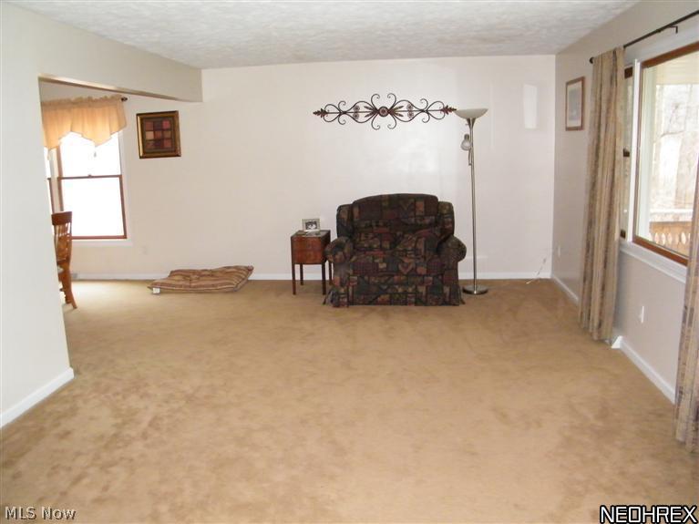 4134 River Road Perry, OH 44081 - Photo 6 of 23 LIVING ROOM RIVER RD