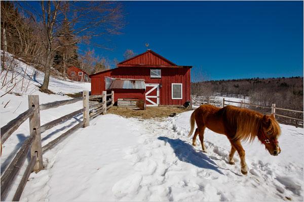 73 Avery Road Buckland, MA 01339 - Photo 27 of 29