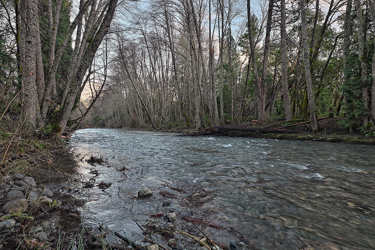 1523 Cedar Flat Road Williams, OR 97544 - Photo 2 of 35 DSC_7574