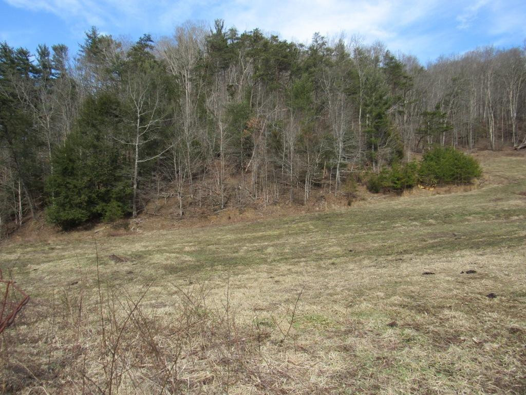 Tdb Cherry Tree Road, Unit 32 Chilhowie, VA 24319 - Photo 2 of 8 Photo 2