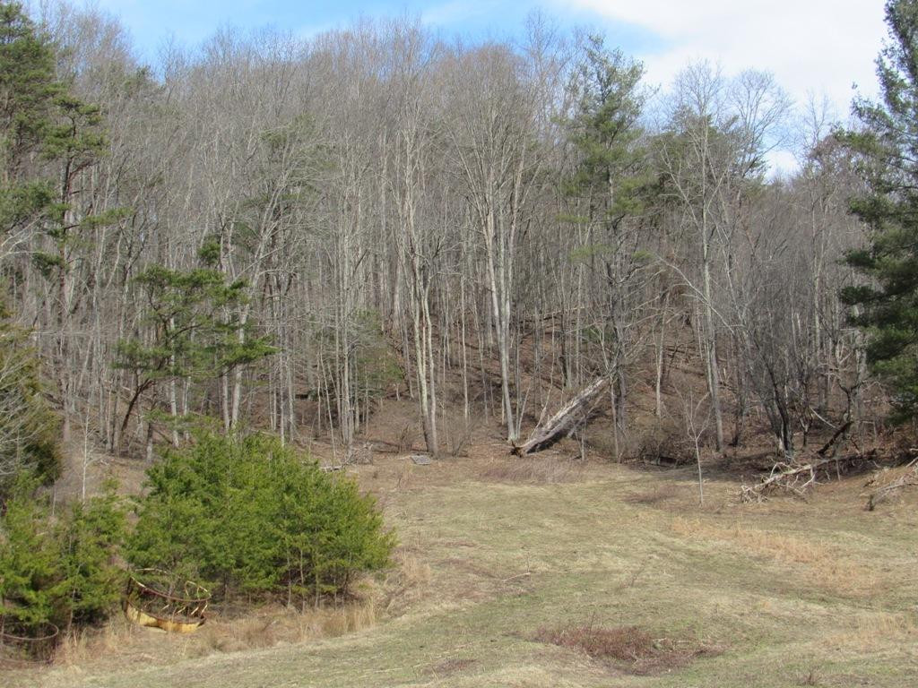 Tdb Cherry Tree Road, Unit 32 Chilhowie, VA 24319 - Photo 4 of 8 Photo 4