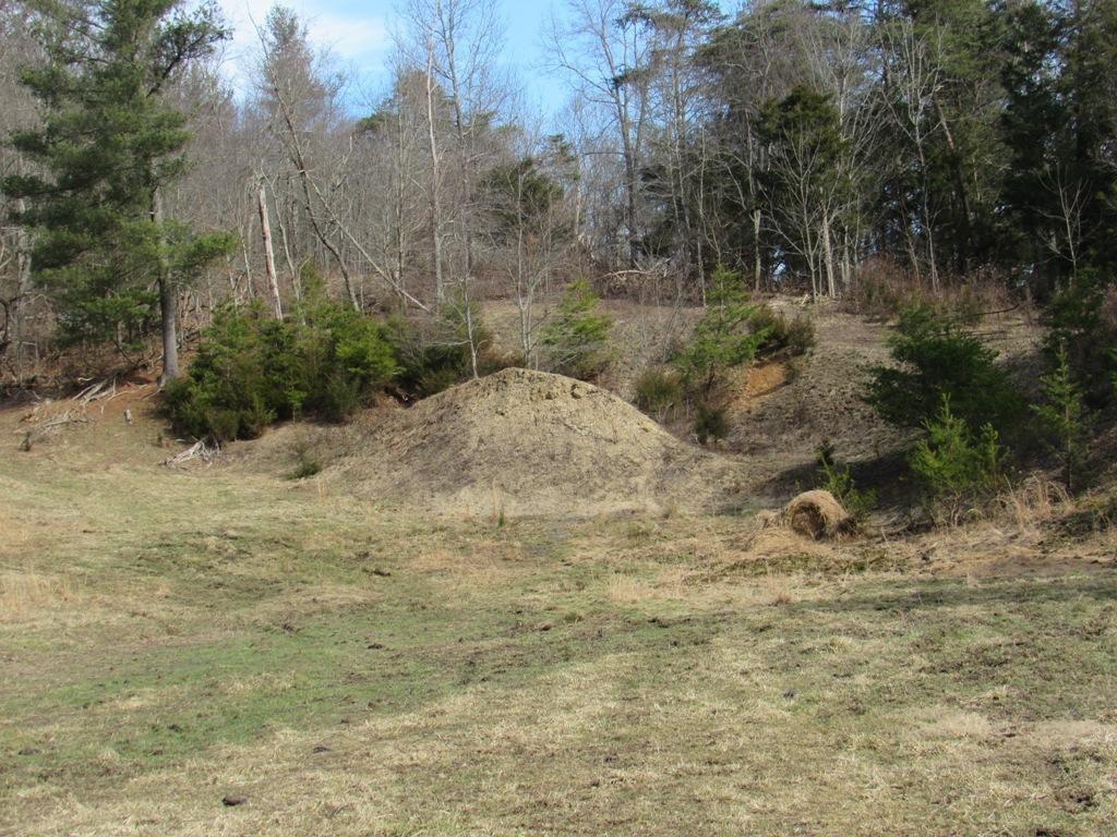 Tdb Cherry Tree Road, Unit 32 Chilhowie, VA 24319 - Photo 5 of 8 Photo 5