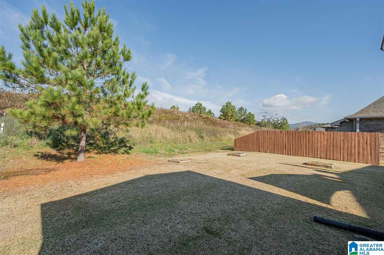 214 Chesser Loop Road Chelsea, AL 35043 - Photo 36 of 37