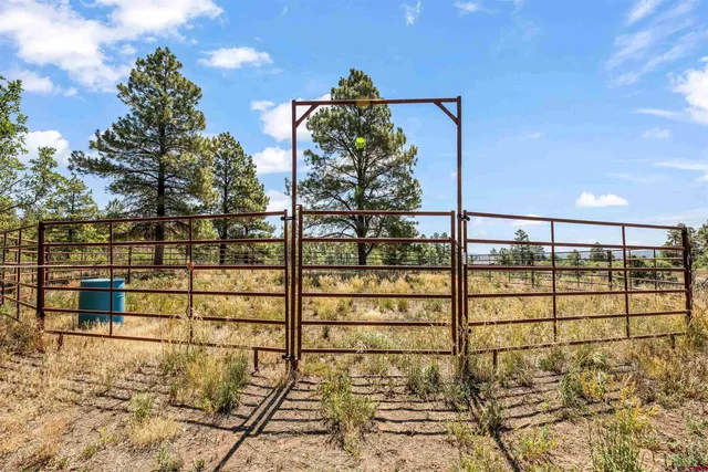 $1,250,000 | 31 Creekside Place, Pagosa Springs, CO 81147