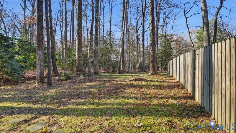 14607 Chatmoss Court Midlothian, VA 23112 - Photo 37 of 41 a view of outdoor space with trees