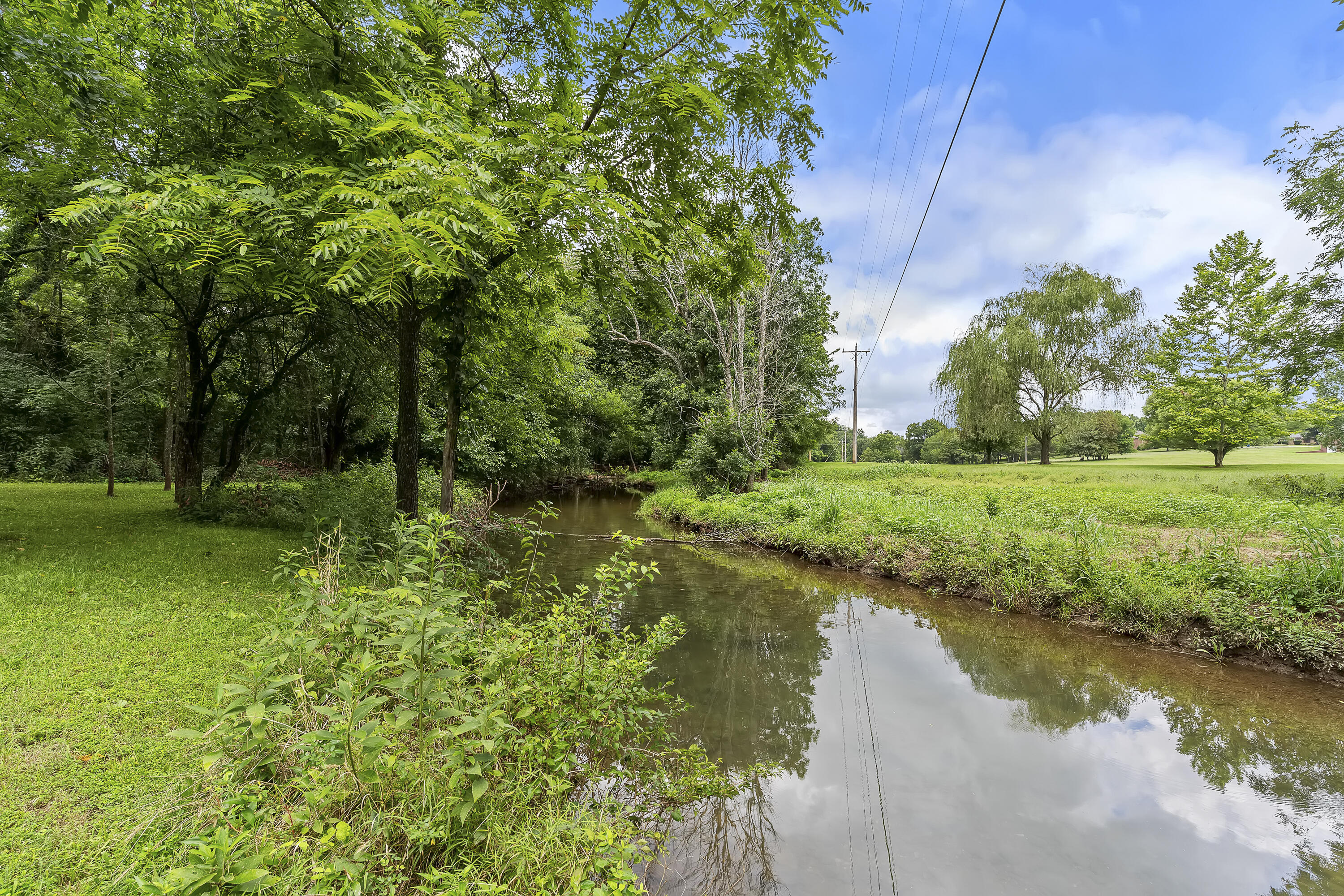 4465 Raintree Drive Willard, MO 65781 - Photo 44 of 51 4465 Raintree-47