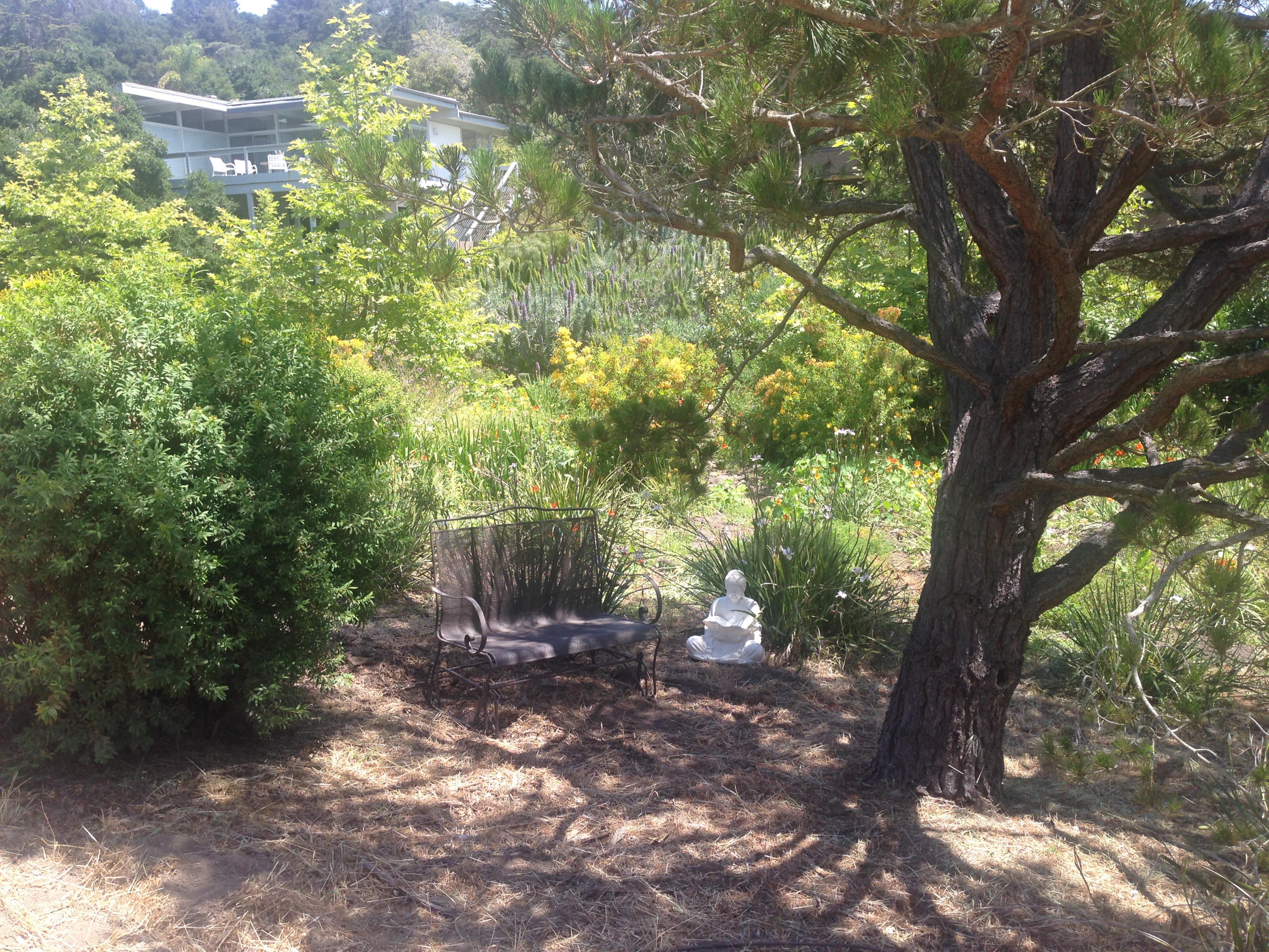828 Summit Road Santa Barbara, CA 93108 - Photo 35 of 36 IMG_2093
