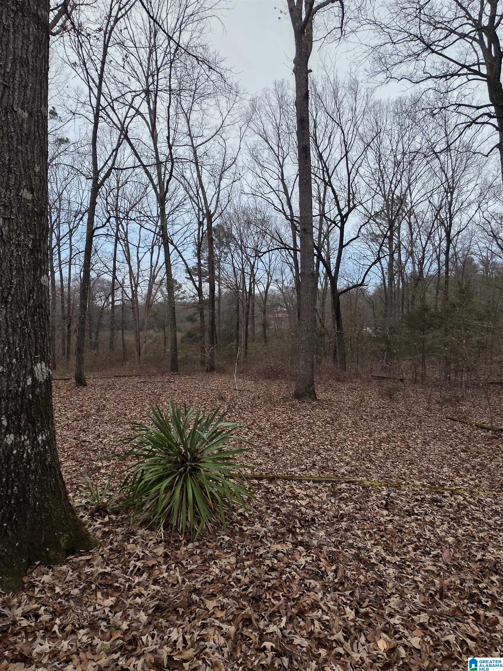 322 Tucker Road Talladega, AL 35160 - Photo 9 of 21