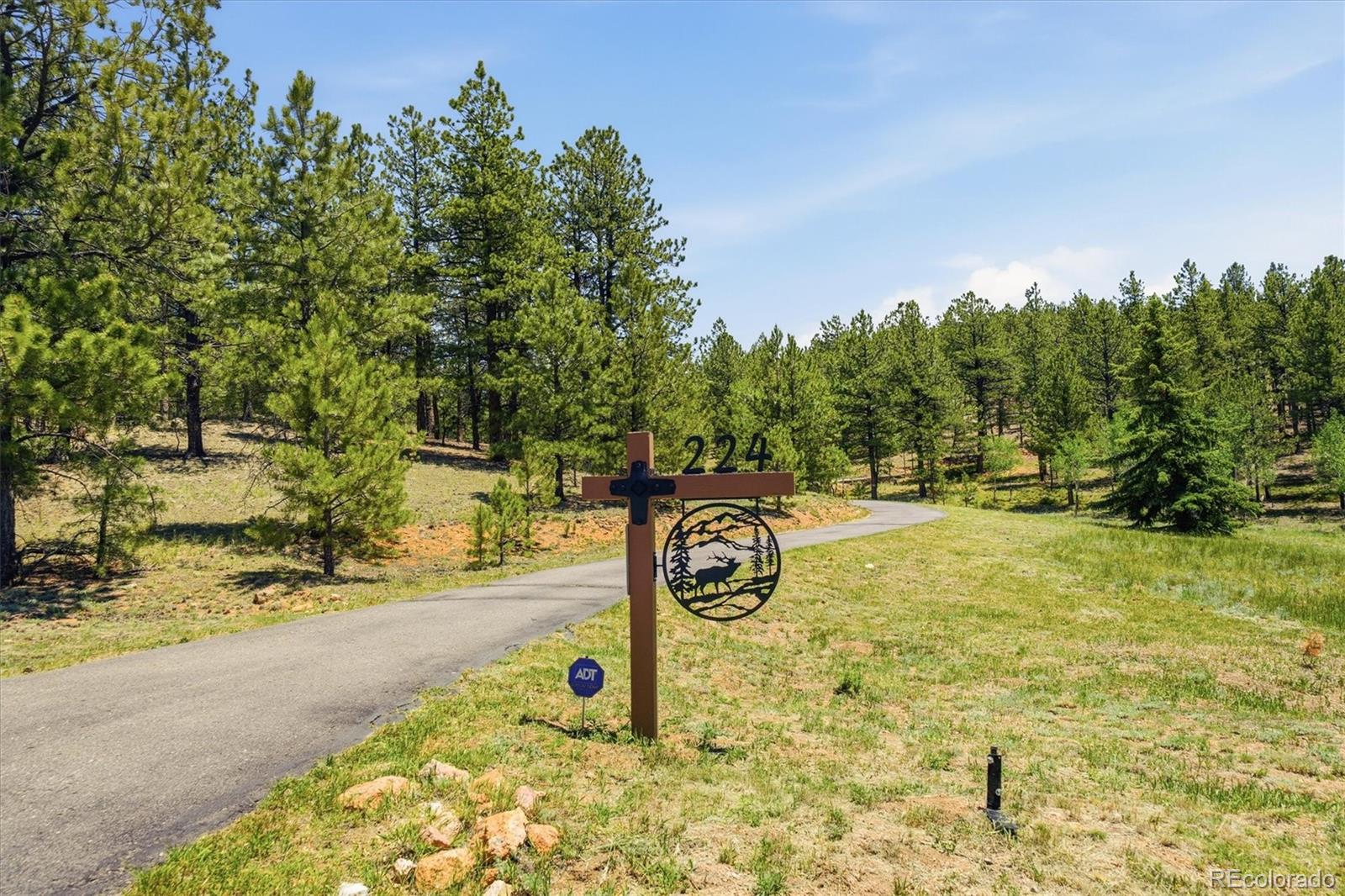 224 Hangmans Road Bailey, CO 80421 - Photo 2 of 31