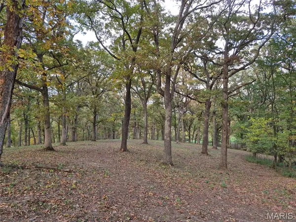 $231,000 | 0 Highway D - Tract 5a (14 /- Acres) Eolia Mo 63344, Eolia, MO 63344