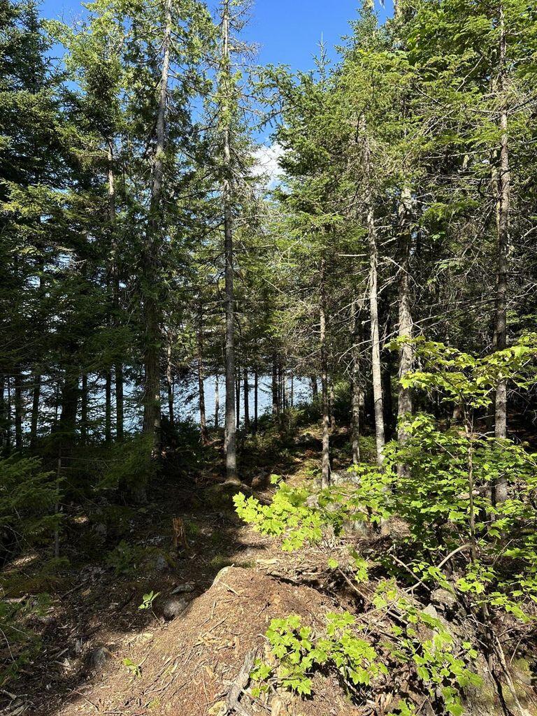 M27-lotk Birch Pt Road Cooper, ME 04657 - Photo 2 of 6 LotK lot view
