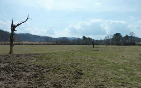 16.46 Tomotla Road Marble, NC 28905 - Photo 1 of 1 Main View
