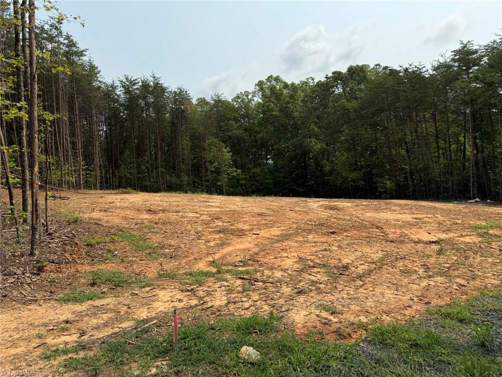 517 Bailey Road Madison, NC 27025 - Photo 6 of 17