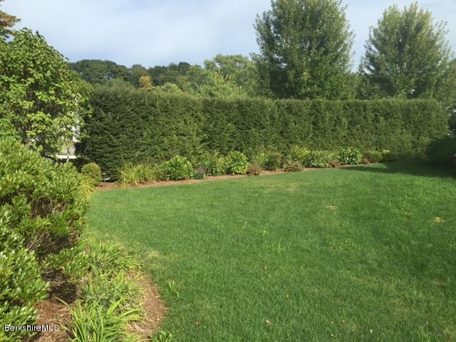 hedgerow