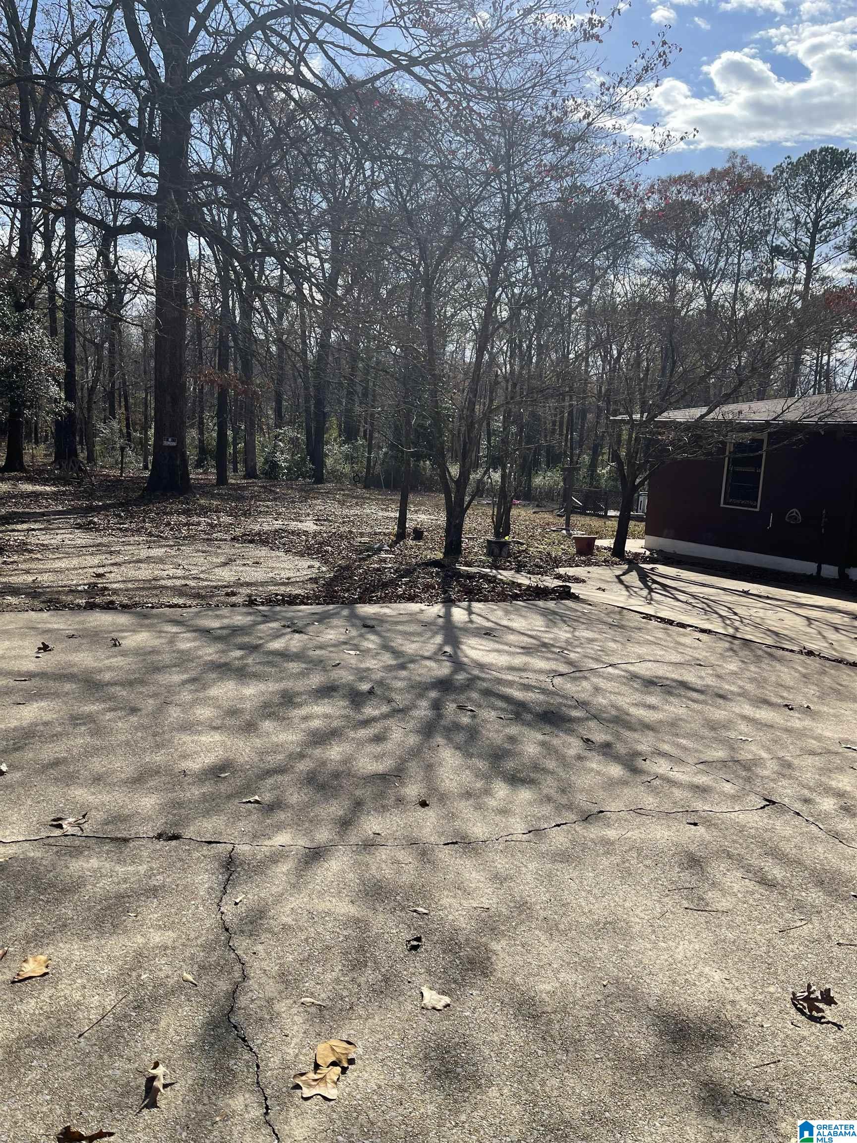 1205 Brakefield Dairy Road Jasper, AL 35503 - Photo 3 of 3