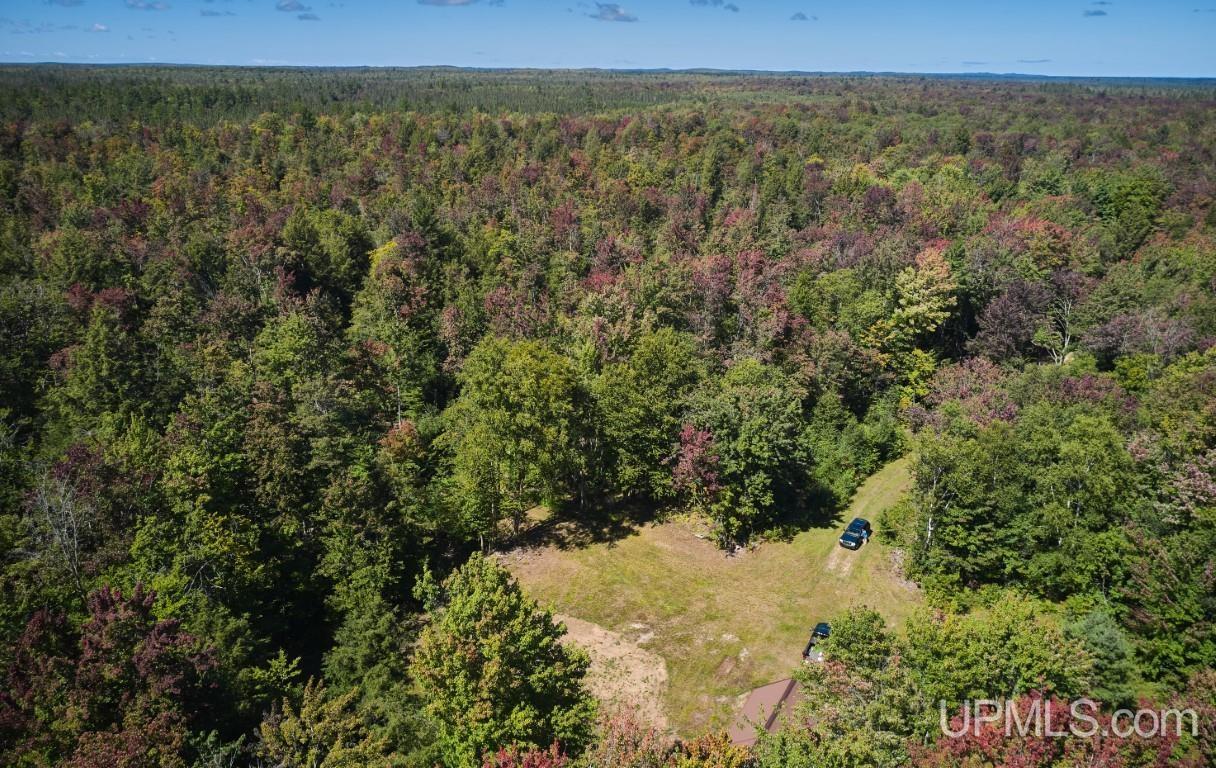 454 Creighton Trail Road Shingleton, MI 49884 - Photo 10 of 26