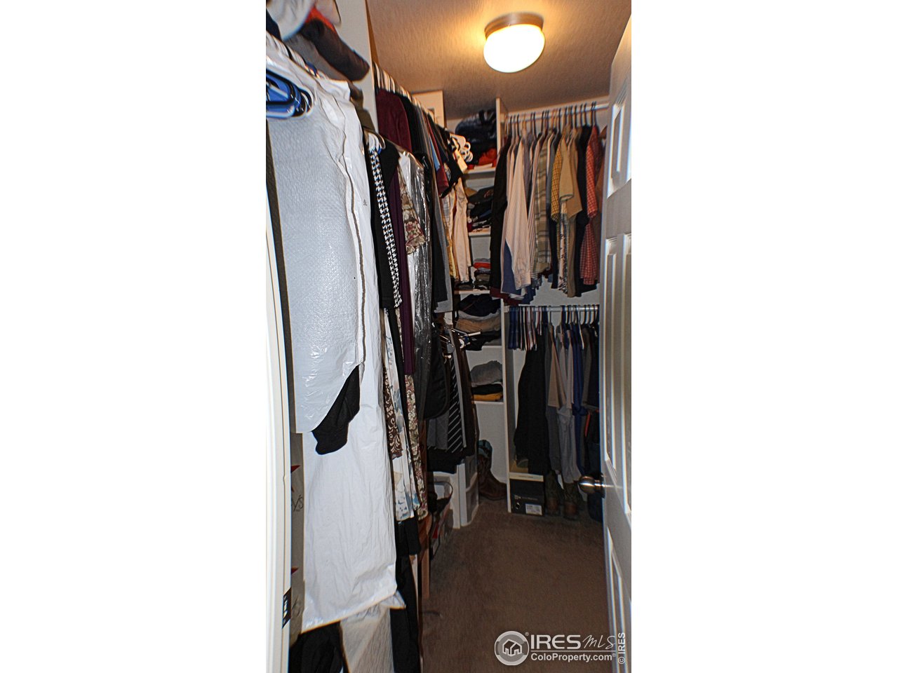 6813 McClellan Road Wellington, CO 80549 - Photo 15 of 35 Walk in Closet