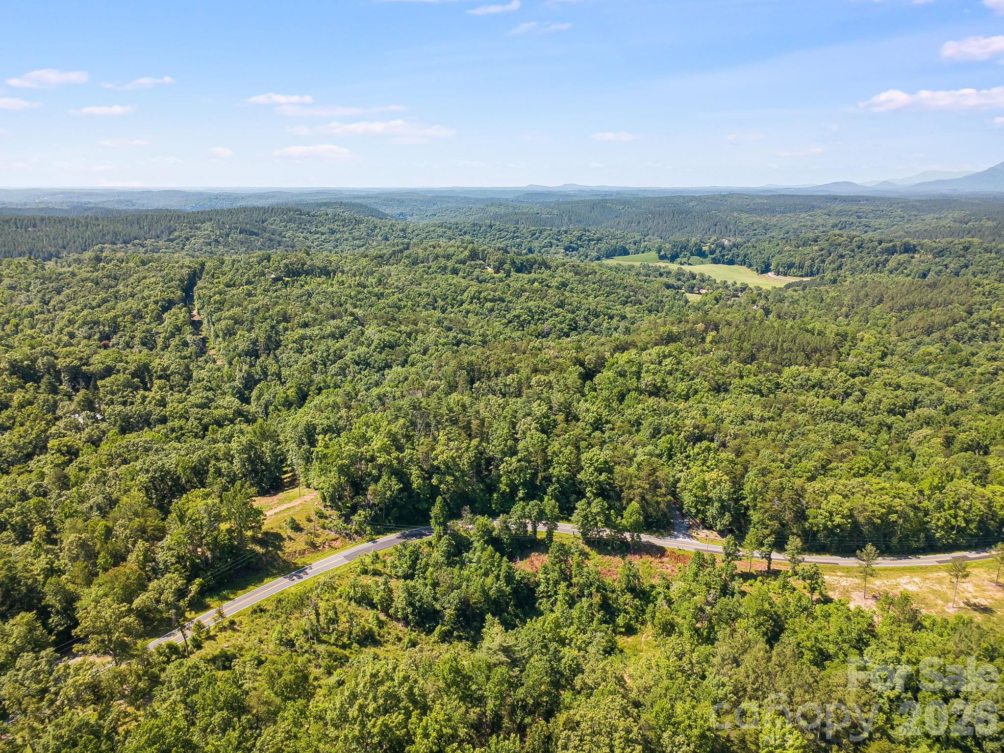 Lot #2 Clark Road Rutherfordton, NC 28139 - Photo 26 of 36