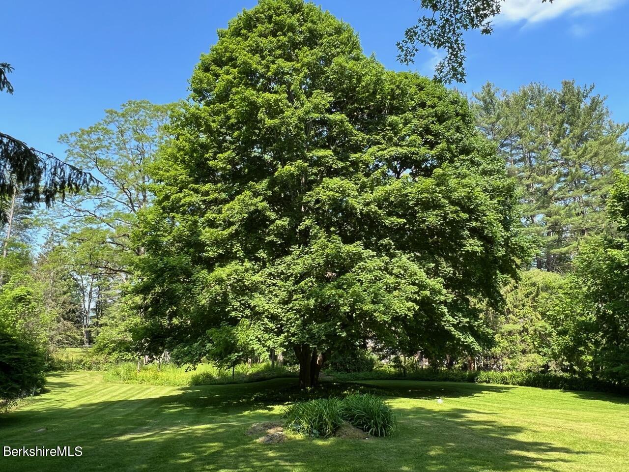 100 Old Stockbridge Road Lenox, MA 01240 - Photo 46 of 58 Rear Yard in Stockbridge