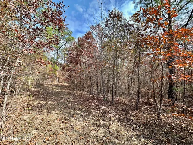 $299,000 | 0 County Road 3122, French Camp, MS 39745