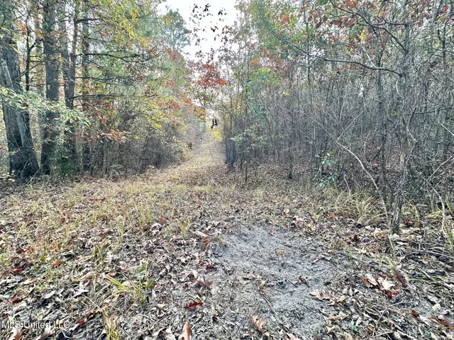 $299,000 | 0 County Road 3122, French Camp, MS 39745
