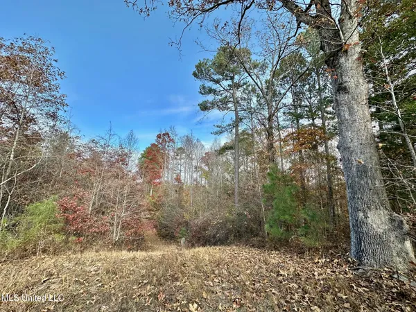 $235,000 | 0 County Road 3122, French Camp, MS 39745