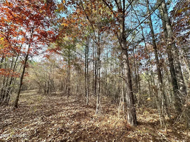 $299,000 | 0 County Road 3122, French Camp, MS 39745